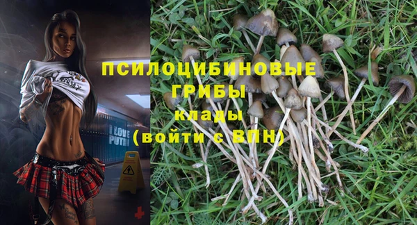 ALPHA PVP Алзамай