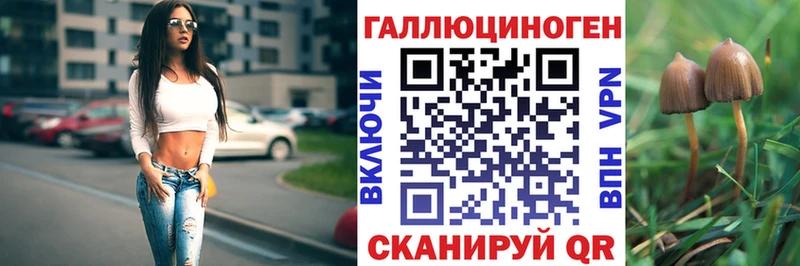 закладка  Переславль-Залесский  Псилоцибиновые грибы MAGIC MUSHROOMS 